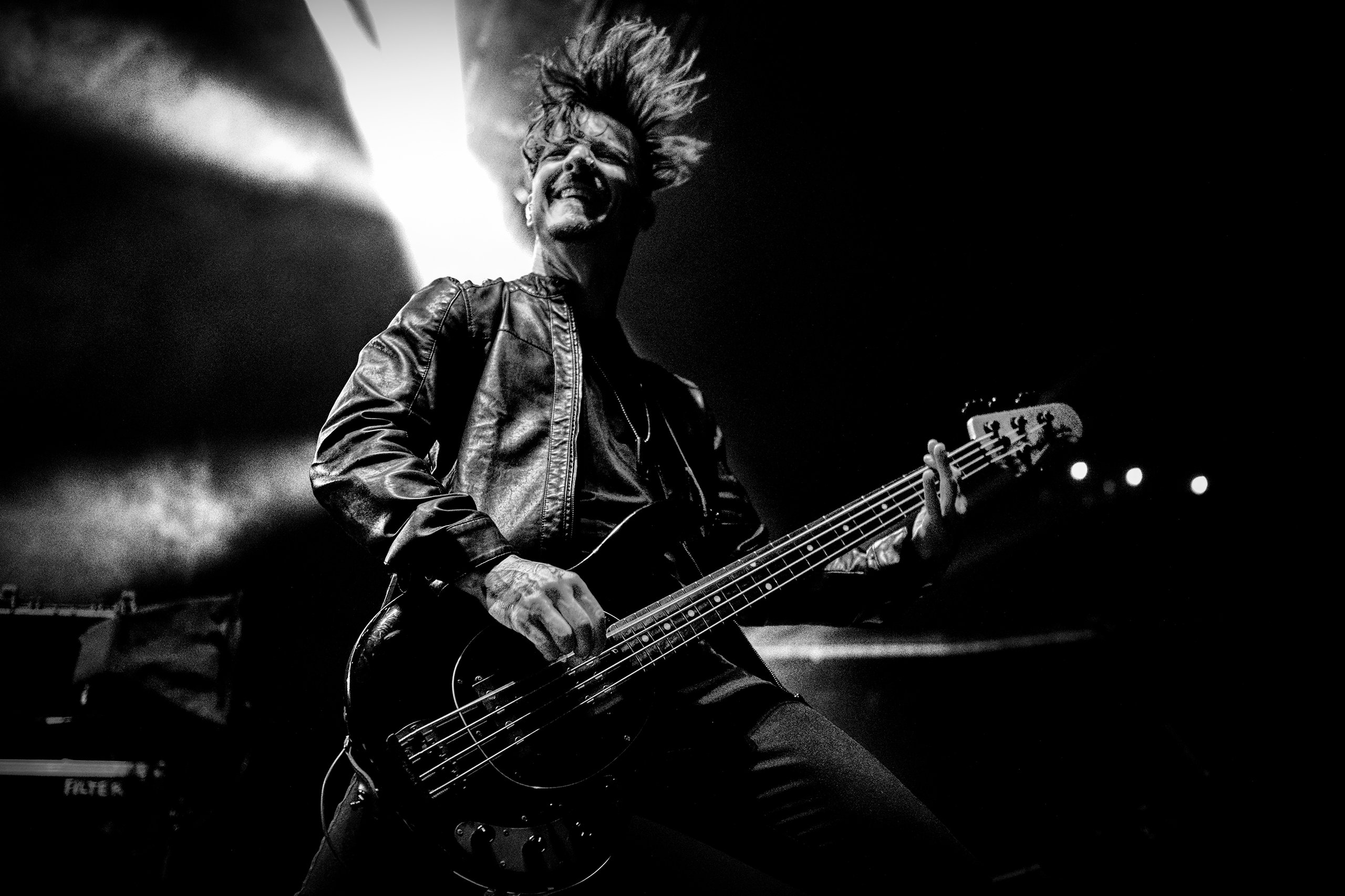 Rotten Bobby live gallery image 3