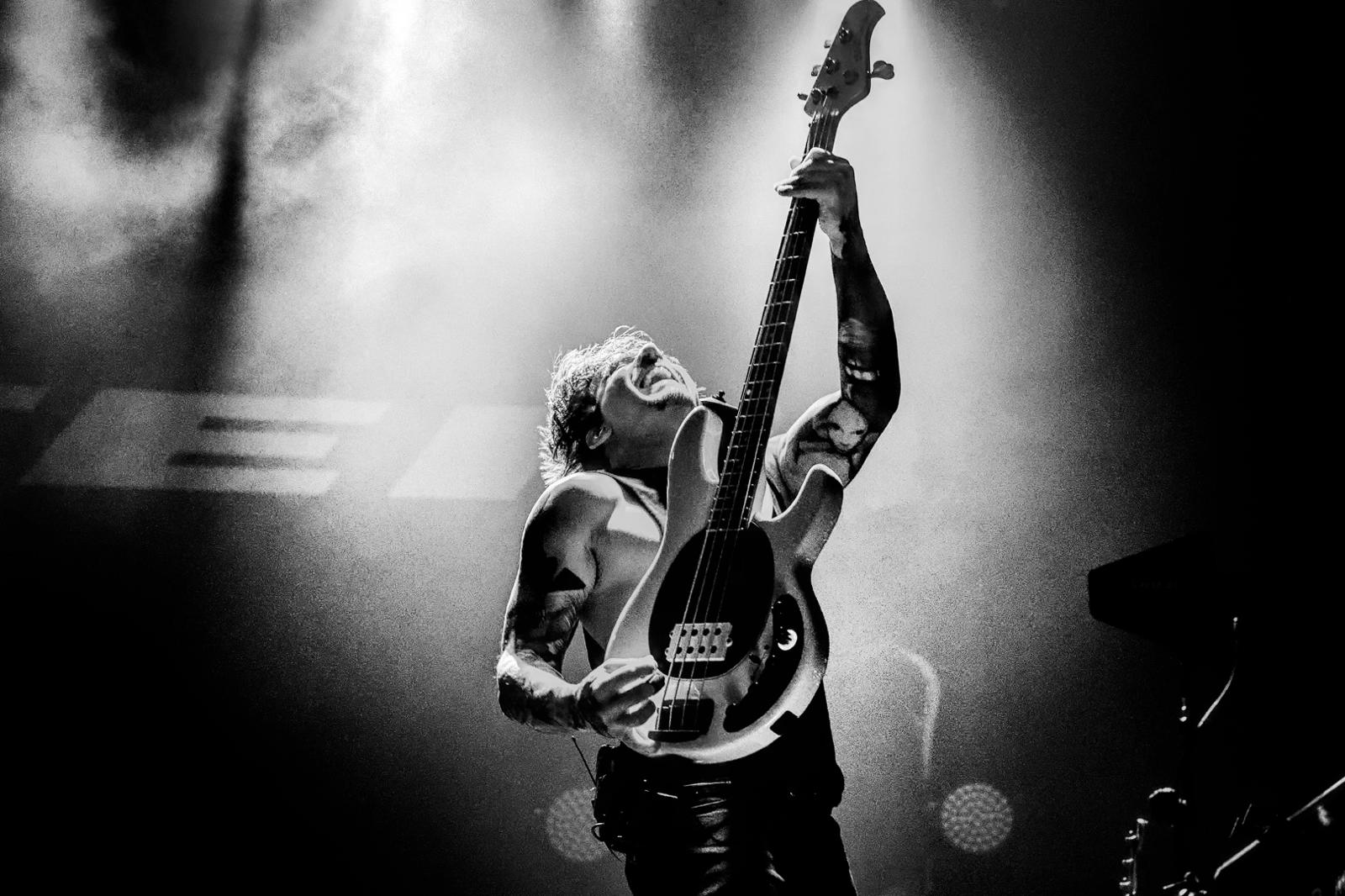 Rotten Bobby live gallery image 6